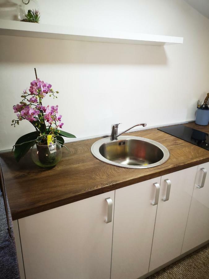 Family Apartment With Garden Sarajevo Rom bilde